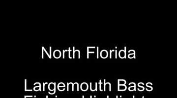 Free download Bass Movie June 2021 v2.mp4 video and edit with RedcoolMedia movie maker MovieStudio video editor online and AudioStudio audio editor onlin