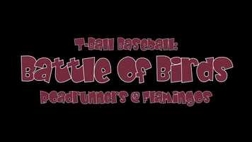 Free download Battle of Birds video and edit with RedcoolMedia movie maker MovieStudio video editor online and AudioStudio audio editor onlin