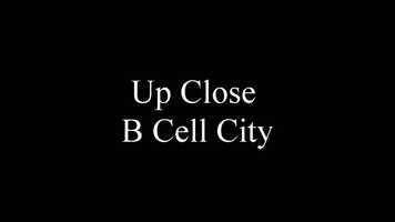 Free download B Cell City - Charles Matz begins video and edit with RedcoolMedia movie maker MovieStudio video editor online and AudioStudio audio editor onlin