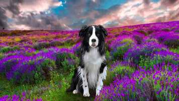 Free download BCT DONT GIVE UP MOVIE instagram video and edit with RedcoolMedia movie maker MovieStudio video editor online and AudioStudio audio editor onlin