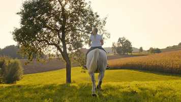 Free download Beatrices White Horse by Elaine Campbell - 30 sec video and edit with RedcoolMedia movie maker MovieStudio video editor online and AudioStudio audio editor onlin