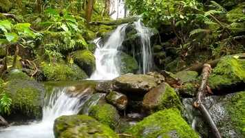 Free download Beautiful Relaxing Music for Stress Relief _ Calming Music _ Meditation, Relaxation, Sleep, Spa.mp4.crdownload video and edit with RedcoolMedia movie maker MovieStudio video editor online and AudioStudio audio editor onlin