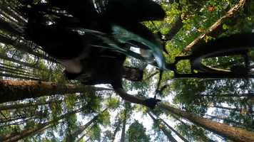 Free download Beaver Lodge Trails video and edit with RedcoolMedia movie maker MovieStudio video editor online and AudioStudio audio editor onlin