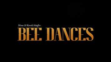 Free download Bee Dances trailer.mp4 video and edit with RedcoolMedia movie maker MovieStudio video editor online and AudioStudio audio editor onlin