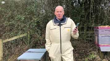 Free download Beekeeper_Movie_17_02_20 video and edit with RedcoolMedia movie maker MovieStudio video editor online and AudioStudio audio editor onlin