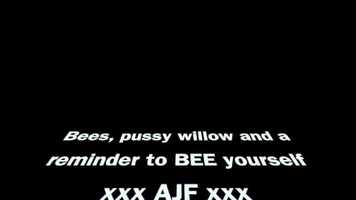 Free download BEES and Pussy Willow video and edit with RedcoolMedia movie maker MovieStudio video editor online and AudioStudio audio editor onlin