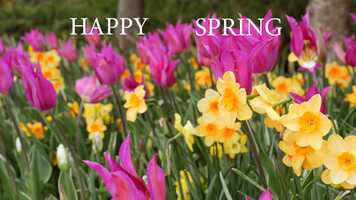 Free download Before the Ice Melts video and edit with RedcoolMedia movie maker MovieStudio video editor online and AudioStudio audio editor onlin