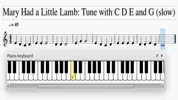 Free download Beginners Part 1:Mary Had a Little Lamb (slow) video and edit with RedcoolMedia movie maker MovieStudio video editor online and AudioStudio audio editor onlin