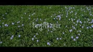 Free download BEGUNI PHOOL - Trailer video and edit with RedcoolMedia movie maker MovieStudio video editor online and AudioStudio audio editor onlin