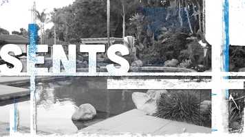 Free download Behind the Gates and BTS video and edit with RedcoolMedia movie maker MovieStudio video editor online and AudioStudio audio editor onlin