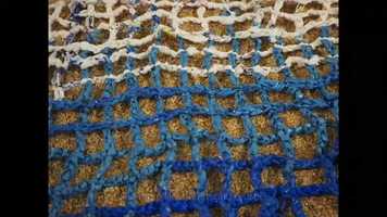 Free download Be Like Nature video and edit with RedcoolMedia movie maker MovieStudio video editor online and AudioStudio audio editor onlin