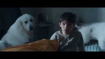 Free download BELLE ET SÉBASTIEN 3 LE DERNIER CHAPITRE (2017) WEB-DL 720p avec liens.mp4 video and edit with RedcoolMedia movie maker MovieStudio video editor online and AudioStudio audio editor onlin