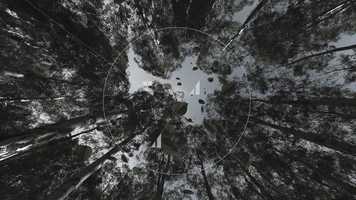 Free download Bel Wikele video and edit with RedcoolMedia movie maker MovieStudio video editor online and AudioStudio audio editor onlin