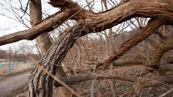 Free download Bend video and edit with RedcoolMedia movie maker MovieStudio video editor online and AudioStudio audio editor onlin