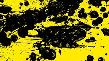 Free download BENEL BAPTISTE : DU CARTON AU GENERIQUE video and edit with RedcoolMedia movie maker MovieStudio video editor online and AudioStudio audio editor onlin