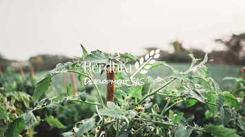 Free download BERDURA video and edit with RedcoolMedia movie maker MovieStudio video editor online and AudioStudio audio editor onlin