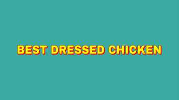 Free download Best Dressed Chicken playlist trailer.mp4 video and edit with RedcoolMedia movie maker MovieStudio video editor online and AudioStudio audio editor onlin