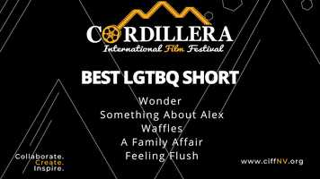 Free download Best LGBTQ Film - Cordillera Intl Film Festival 2020 video and edit with RedcoolMedia movie maker MovieStudio video editor online and AudioStudio audio editor onlin