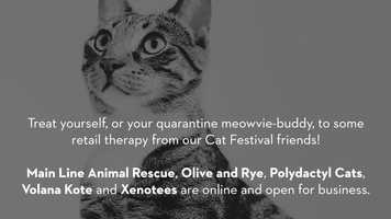 Free download Best of CatVideoFest: Creature Comforts Edition! video and edit with RedcoolMedia movie maker MovieStudio video editor online and AudioStudio audio editor onlin