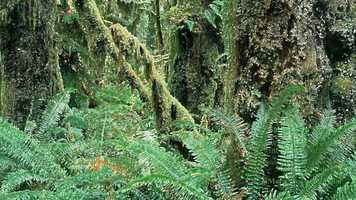 Free download Best Relaxation Music Collection Video 13 Sadness in the Sea video and edit with RedcoolMedia movie maker MovieStudio video editor online and AudioStudio audio editor onlin