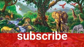 Free download Best song by  Hansh raj Raghuvanshi video and edit with RedcoolMedia movie maker MovieStudio video editor online and AudioStudio audio editor onlin