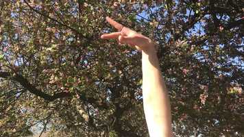 Free download Beths Film Final Draft video and edit with RedcoolMedia movie maker MovieStudio video editor online and AudioStudio audio editor onlin