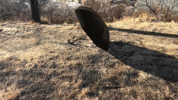 Free download Between Seasons video and edit with RedcoolMedia movie maker MovieStudio video editor online and AudioStudio audio editor onlin