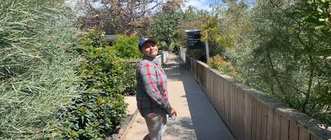 Free download bevanmahaney.com video and edit with RedcoolMedia movie maker MovieStudio video editor online and AudioStudio audio editor onlin