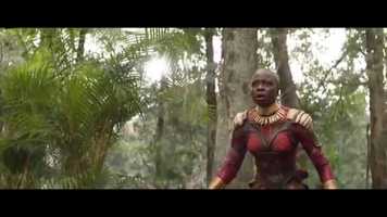 Free download beware of disney plus video and edit with RedcoolMedia movie maker MovieStudio video editor online and AudioStudio audio editor onlin