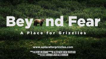 Free download Beyond Fear: A Place for Grizzlies official trailer video and edit with RedcoolMedia movie maker MovieStudio video editor online and AudioStudio audio editor onlin