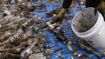 Free download BeyondPlasticPollution.Org video and edit with RedcoolMedia movie maker MovieStudio video editor online and AudioStudio audio editor onlin