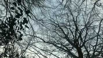 Free download Beyond The Light video and edit with RedcoolMedia movie maker MovieStudio video editor online and AudioStudio audio editor onlin