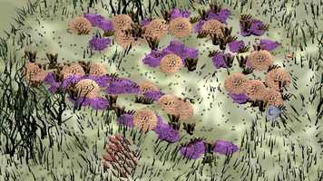 Free download Beyond the Sea Part 2 video and edit with RedcoolMedia movie maker MovieStudio video editor online and AudioStudio audio editor onlin