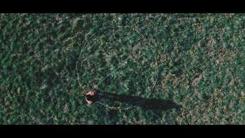 Free download BEZKONTAKT _ CONTACTLESS.mp4 video and edit with RedcoolMedia movie maker MovieStudio video editor online and AudioStudio audio editor onlin