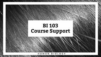 Free download BI 103 Course Support (no voice) video and edit with RedcoolMedia movie maker MovieStudio video editor online and AudioStudio audio editor onlin
