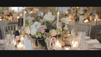 Free download Bianca  Michael Wedding Trailer video and edit with RedcoolMedia movie maker MovieStudio video editor online and AudioStudio audio editor onlin