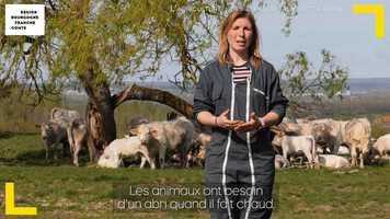 Free download BIEN ETRE ANIMAL v4 video and edit with RedcoolMedia movie maker MovieStudio video editor online and AudioStudio audio editor onlin