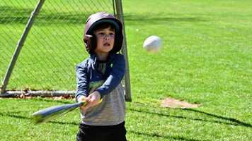 Free download bike and baseball video and edit with RedcoolMedia movie maker MovieStudio video editor online and AudioStudio audio editor onlin