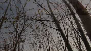 Free download Bike Ride video and edit with RedcoolMedia movie maker MovieStudio video editor online and AudioStudio audio editor onlin