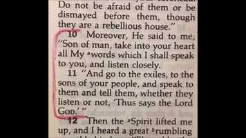 Free download Bill Hicks - We are the perfect and holy children of God - (sub Ita) video and edit with RedcoolMedia movie maker MovieStudio video editor online and AudioStudio audio editor onlin