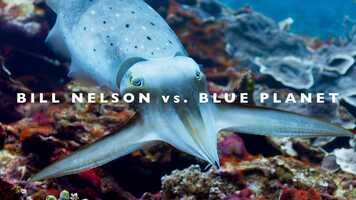 Free download BILL NELSON - THE LIGHT IS KINDER IN THIS CORNER OF CORONA video and edit with RedcoolMedia movie maker MovieStudio video editor online and AudioStudio audio editor onlin