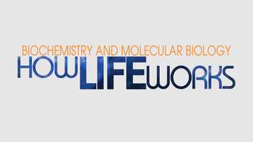 Free download Biochemistry and Molecular Biology The Great Courses Plus Trailer video and edit with RedcoolMedia movie maker MovieStudio video editor online and AudioStudio audio editor onlin