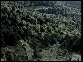 Free download BIODIVERSITY video and edit with RedcoolMedia movie maker MovieStudio video editor online and AudioStudio audio editor onlin