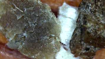 Free download Bio Film, Polymer cap and Carbon Node video and edit with RedcoolMedia movie maker MovieStudio video editor online and AudioStudio audio editor onlin