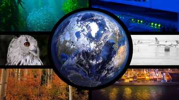 Free download Bionik Memo video and edit with RedcoolMedia movie maker MovieStudio video editor online and AudioStudio audio editor onlin