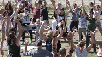 Free download Biophilia Festival 2019 video and edit with RedcoolMedia movie maker MovieStudio video editor online and AudioStudio audio editor onlin