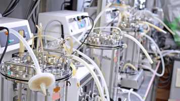 Free download Biotech  Life Science Certificate Rough cut video and edit with RedcoolMedia movie maker MovieStudio video editor online and AudioStudio audio editor onlin