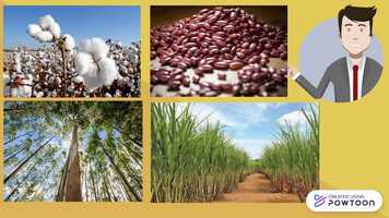 Free download Biotec - PARTE 2 oficial.2 video and edit with RedcoolMedia movie maker MovieStudio video editor online and AudioStudio audio editor onlin