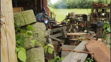 Free download Bird.Brain.Observations.mp4 video and edit with RedcoolMedia movie maker MovieStudio video editor online and AudioStudio audio editor onlin