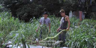 Free download Bird of Fire Trailer 2021.m4v video and edit with RedcoolMedia movie maker MovieStudio video editor online and AudioStudio audio editor onlin